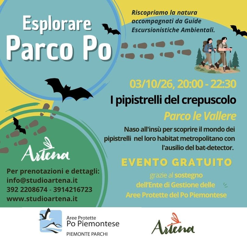 I pipistrelli del crepuscolo